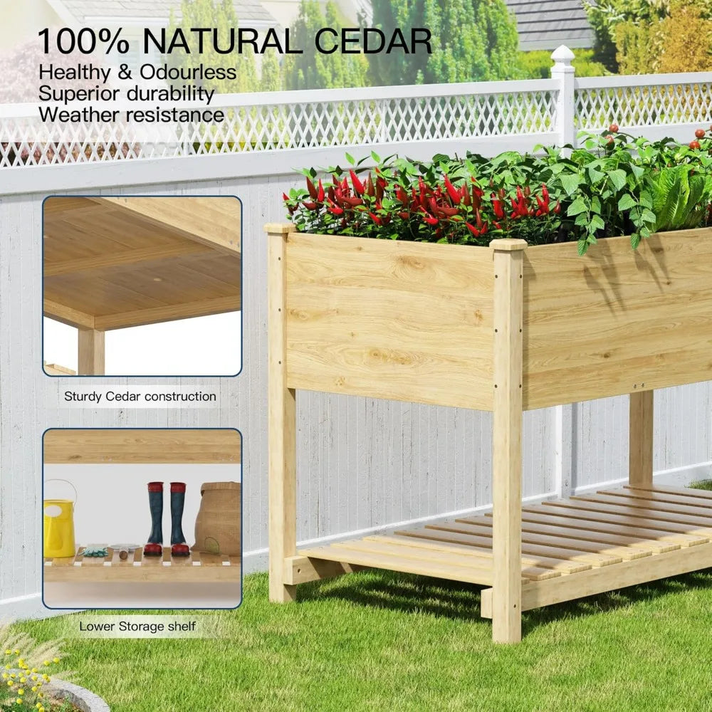 4 pcs Raised Garden Bed with Legs, Elevated Cedar Wood Box with Storage Shelf